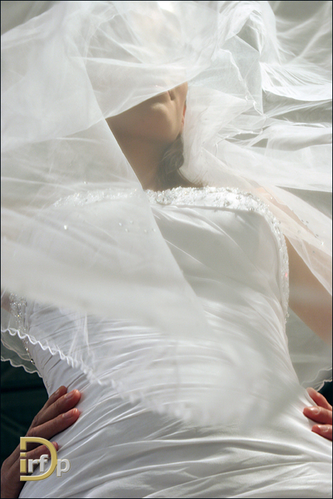 /fotografisi gamou 001.JPG